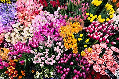 欧洲12月Switch游戏下载排行榜 《马里奥派对：超级巨星》夺冠