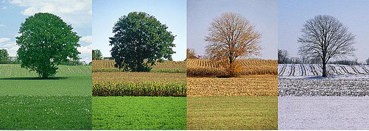 全新《双影奇境》预告片展示双人合作游戏内容